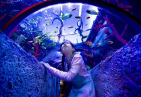 SEA LIFE Malaysia: Entry Ticket