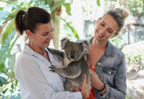 Lone Pine Koala Sanctuary: Entry Ticket