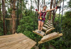 TreeTop Challenge Sunshine Coast: Admission Ticket