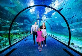 The National Aquarium Abu Dhabi: Entry + Pixoul Gaming + The Adrenark Adventure
