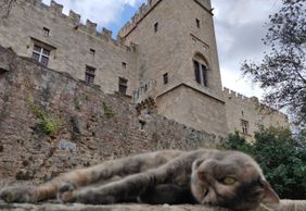 Medieval Town of Rhodes: Audio Tour of the Old Town
