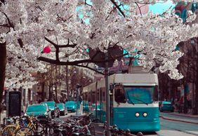 Gothenburg: Haga's Historic Charm Audio Tour