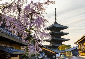 Kyoto: Historic Cherry Blossom Audio Tour