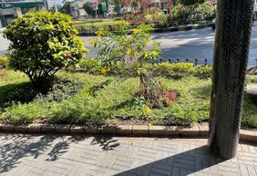 Dar es Salaam: Heritage Trail Audio Tour