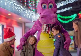 Dutch Winter Wonderland: Entry Ticket