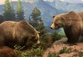 Denver: Nature & Science Audio Exploration