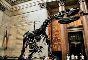 New York City: American Museum of Natural History Ticket & Audio Tour