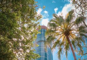 Brisbane: Botanic Gardens Audio Tour