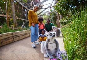 London Zoo: Entry Ticket