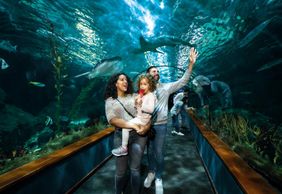 Loro Parque: Entry Ticket