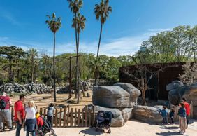 Barcelona Zoo: Skip The Line Ticket