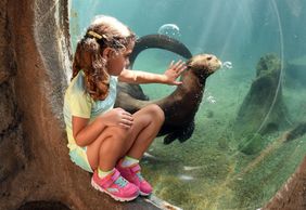 Zoo Miami: Skip The Line Ticket