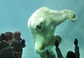 Rotterdam Zoo: Skip The Line Ticket