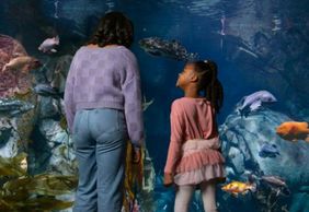 Aquarium of the Pacific: Skip The Line Ticket