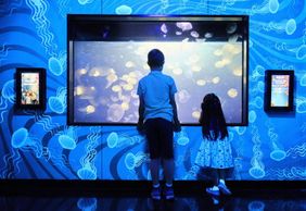 SEA LIFE Melbourne Aquarium: Entry Ticket