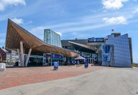 New England Aquarium: Entry Ticket