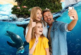 Selwo Marina: Entry Ticket