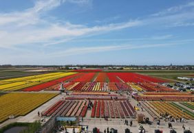 The Tulip Barn: Entry Ticket
