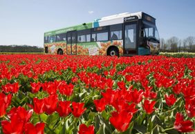 Amsterdam: City & Region Travel Ticket