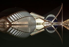 Oceanogràfic & Hemisfèric: Entry Ticket