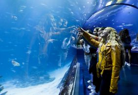 Atlantis Aquarium Madrid: Entry Ticket