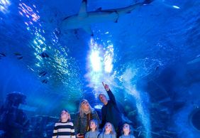 SEA LIFE Birmingham: Entry Ticket