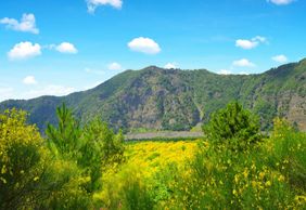 Mount Vesuvius: Skip The Line Ticket + Roundtrip from Naples