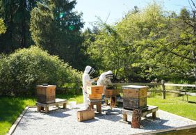 VanDusen Botanical Garden: Entry Ticket