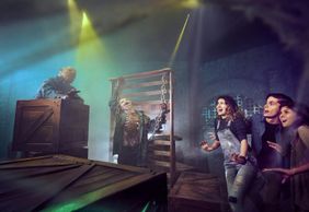 IMG Worlds of Adventure: Entry Ticket