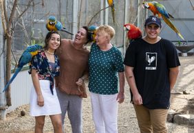 Maleny Botanic Gardens & Bird World: Entry Ticket