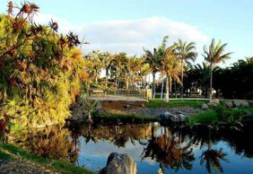 Palmetum of Santa Cruz de Tenerife: Entry Ticket