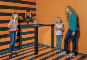 Museum of Illusions Orlando: Entry Ticket