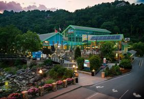Ripley's Aquarium of the Smokies: Entry Ticket