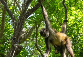 Croco Cun Zoo: Fast Track Ticket