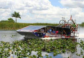 Everglades Holiday Park: Half-Day Trip from Miami with Entry + Transport