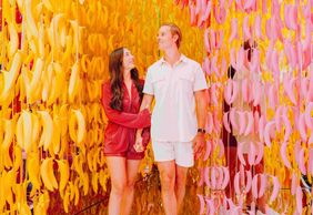 Museum of Ice Cream Miami: Entry Ticket