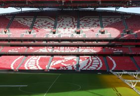 Estádio da Luz & Benfica Museum: Entry Ticket + Scarf Offer