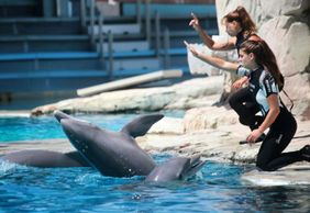 Theme Park Oltremare: Entry Ticket + Lunch