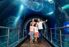 SEA LIFE Melbourne & LEGOLAND® Discovery Centre Combo Ticket