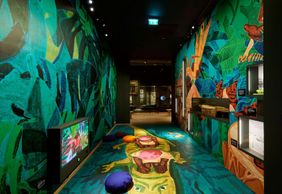 World Museum Rotterdam: Entry Ticket