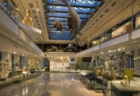 Natural History Museum of Los Angeles County: Entry Ticket