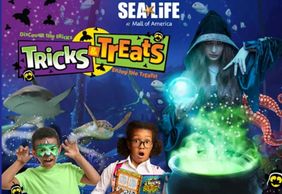 SEA LIFE at Mall of America: Entry Ticket