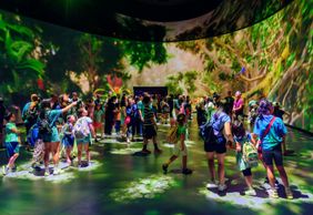 American Museum of Natural History (AMNH): All Ticketed Exhibitions