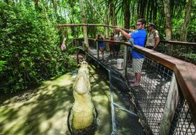 Hartley's Crocodile Adventures: Entry Ticket