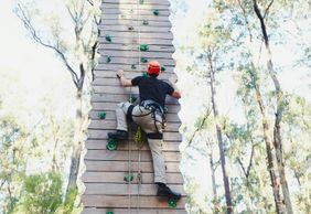 Forest Adventures Park Entry