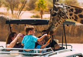 Al Ain Zoo: Entry Ticket