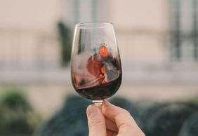 Taylor's Cellars & WOW Museum: Entry Ticket