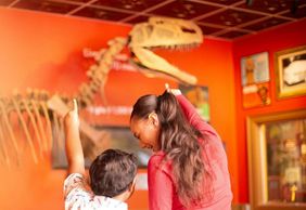 Ripley's Believe It or Not! Niagara Falls: Entry Ticket