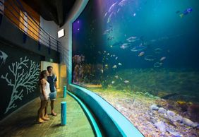 Interactive Aquarium Cancún: Entry Ticket