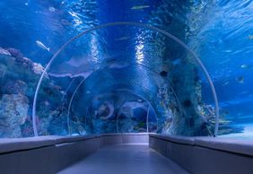 Istanbul: Emaar Aquarium & Underwater Zoo Entry Ticket